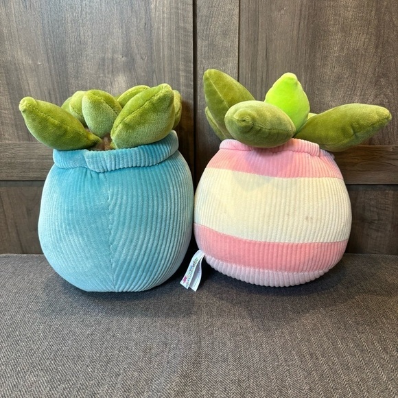 PINK and BLUE SUCCULENT Smoochy Pals Plush Plant - Picture 7 of 8